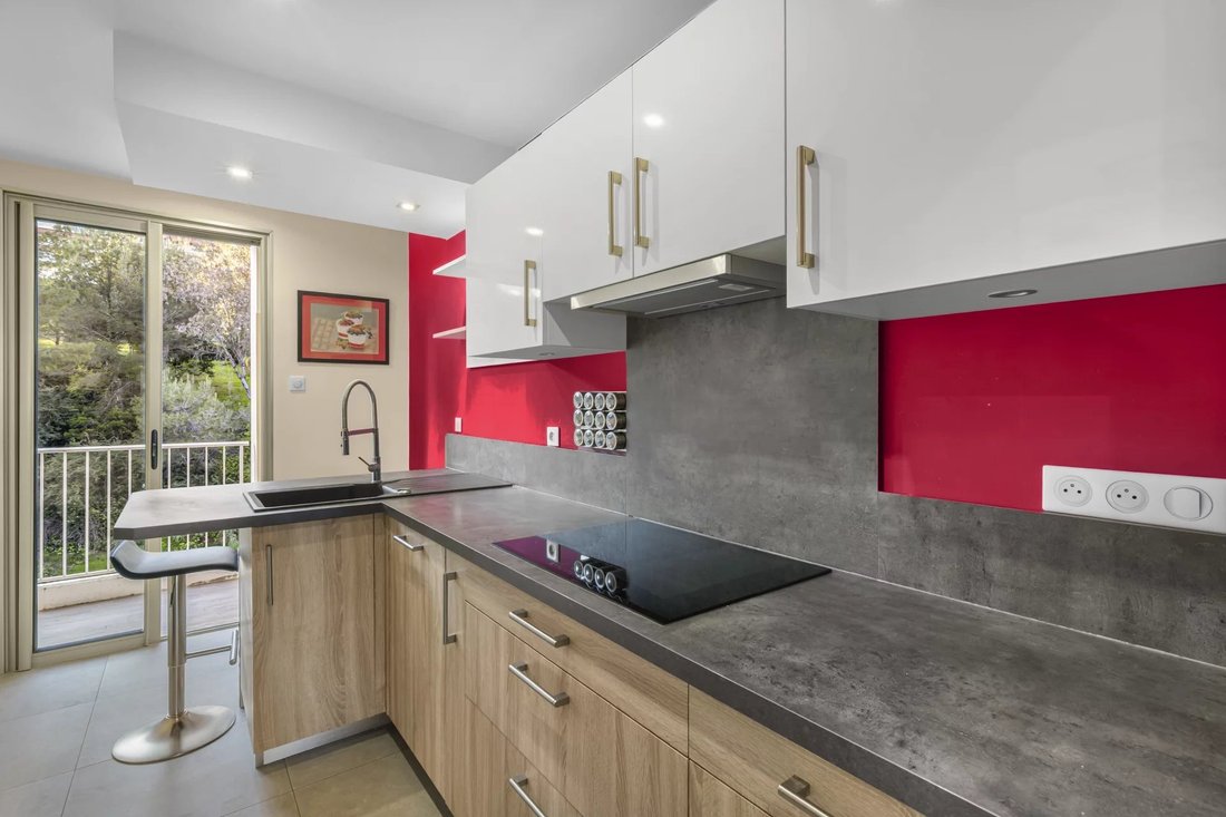 Apartment in Saint Veran, Cagnes-sur-Mer, France 2 - 18526493