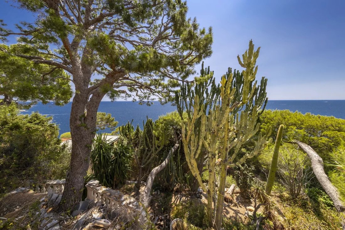 Villa in Èze, Provence-Alpes-Côte d'Azur, France 4 - 18526325