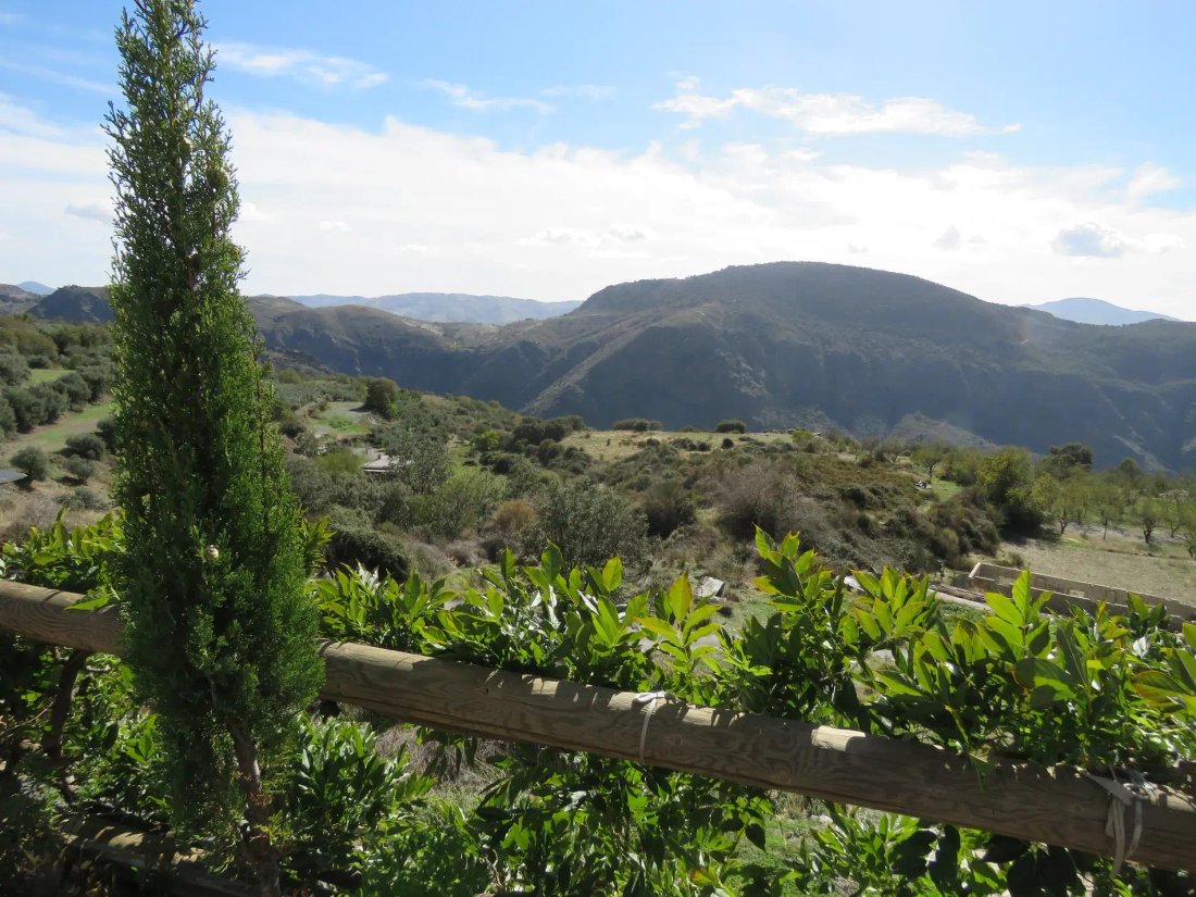 Country House in Portugos, Andalusia, Spain 5 - 13500249