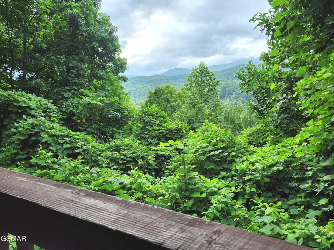 House in Gatlinburg, Tennessee, United States 2 - 18529172