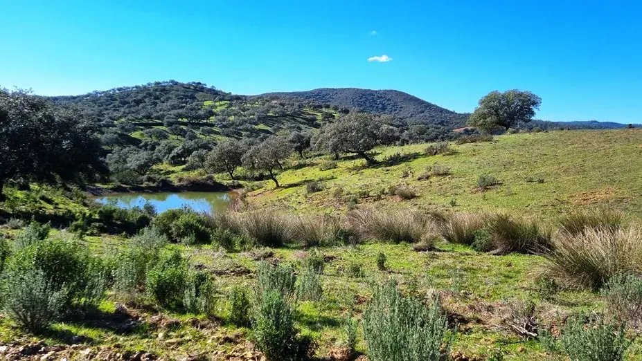 Country House in Zufre, Andalusia, Spain 5 - 13829623
