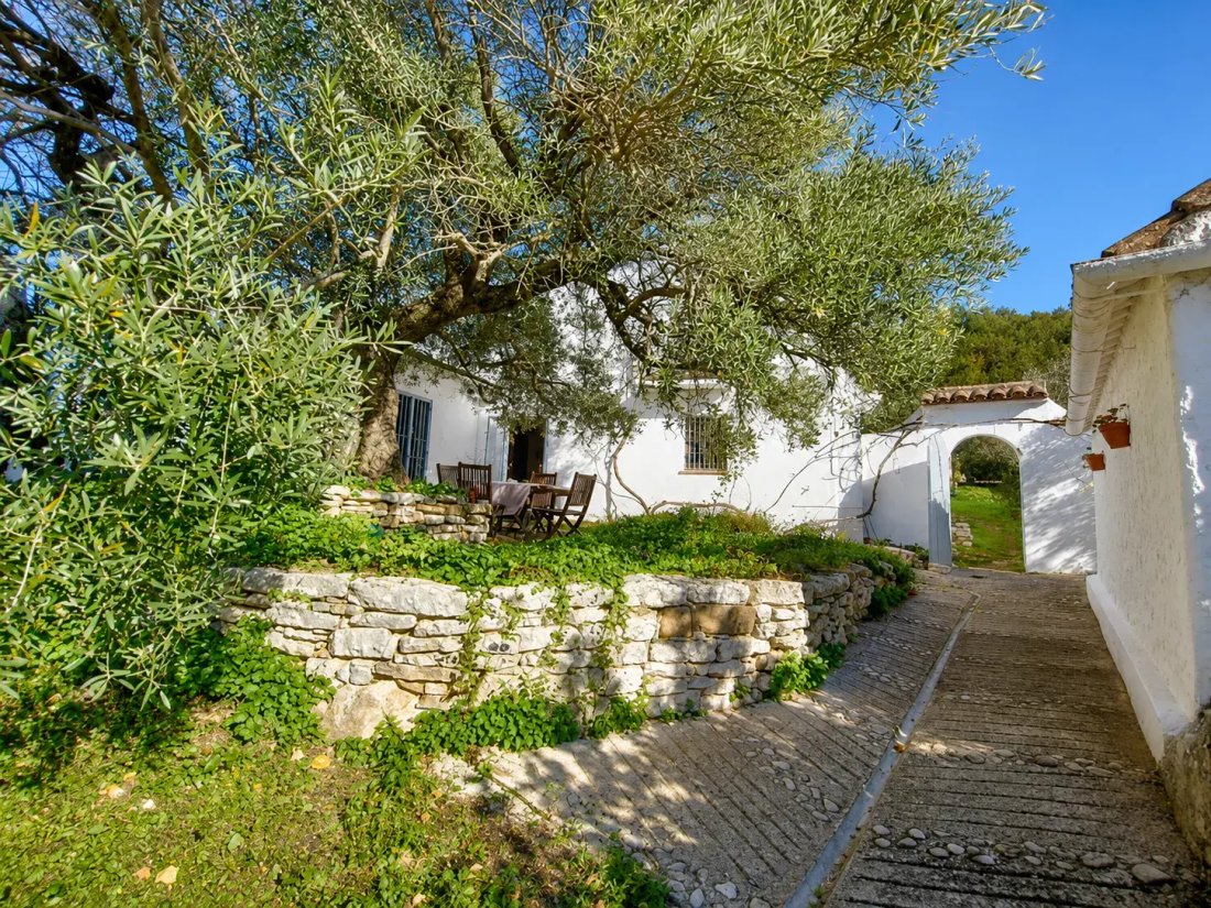 Country House in Algatocin, Andalusia, Spain 4 - 18530317