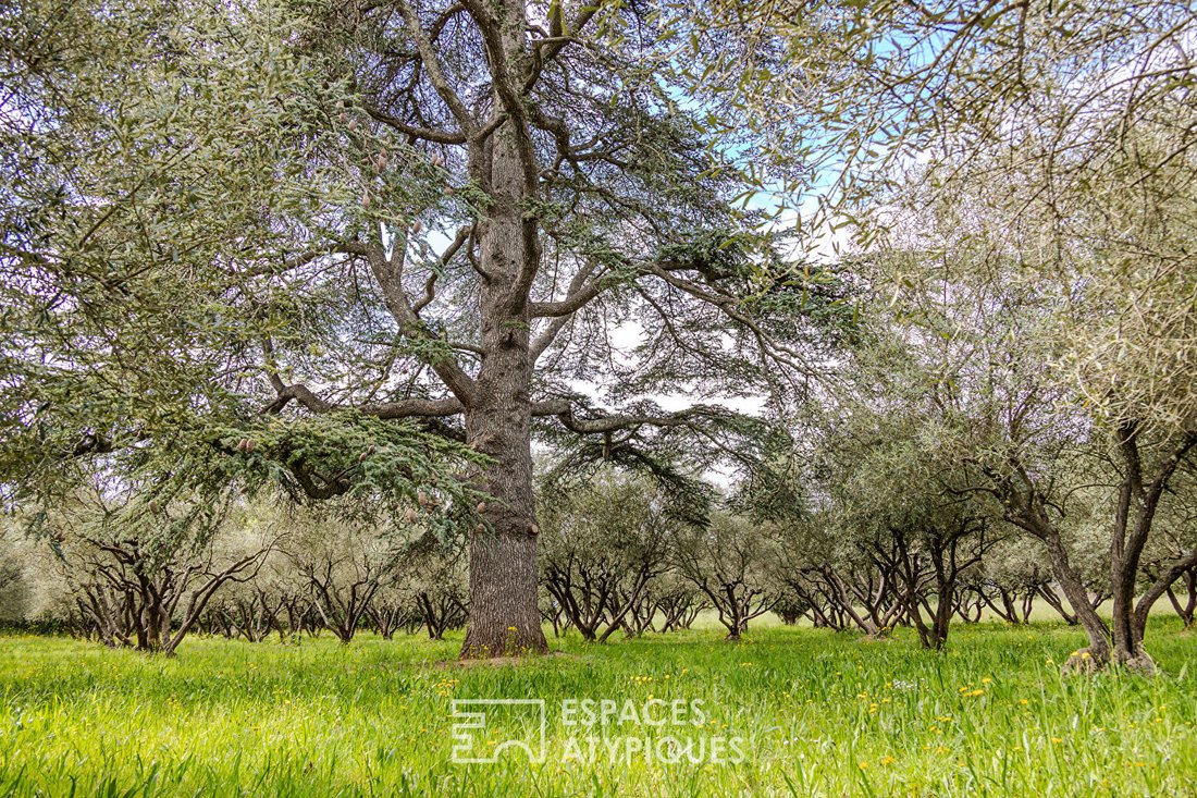 Villa in Puget-Ville, Provence-Alpes-Côte d'Azur, France 5 - 18529926