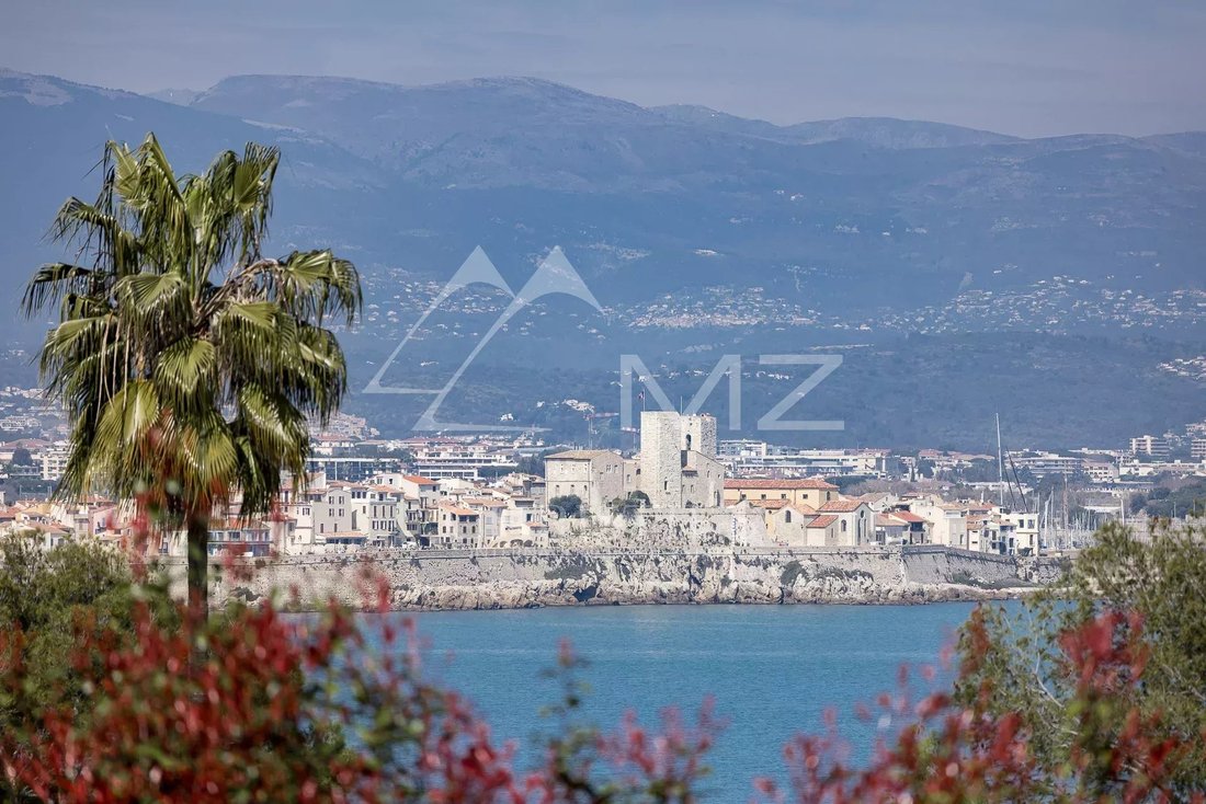 Villa in Antibes, Provence-Alpes-Côte d'Azur, France 4 - 18526654