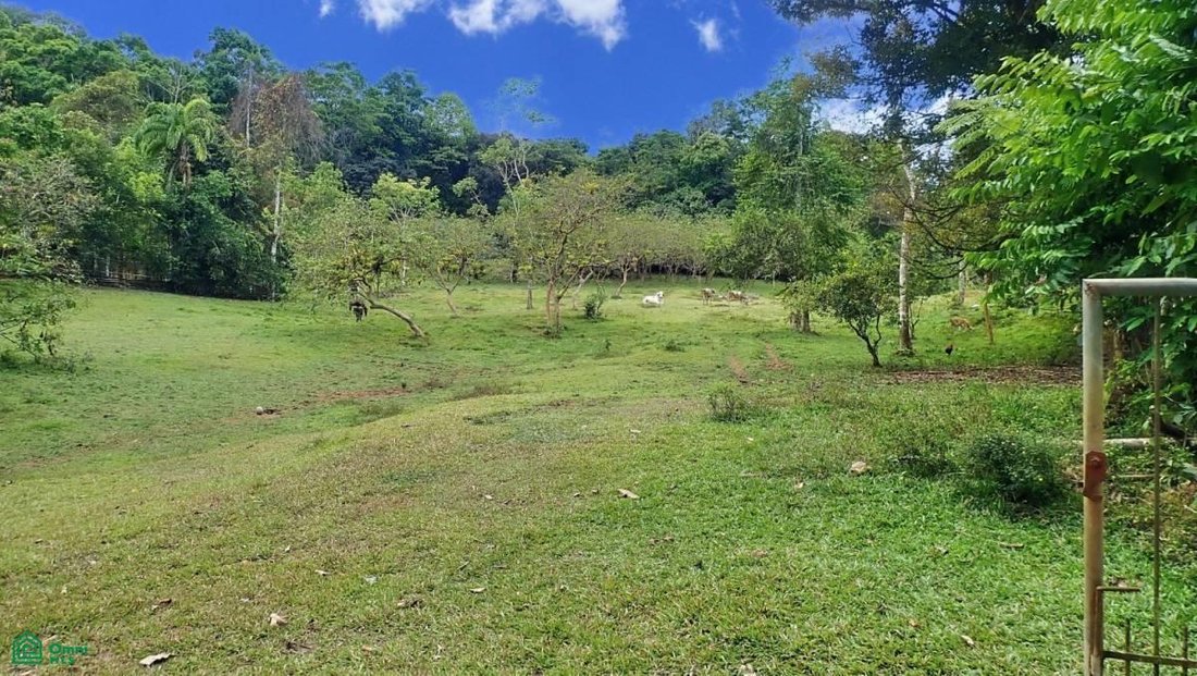 Land in Savegre de Aguirre, Puntarenas Province, Costa Rica 1 - 17811321