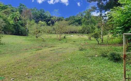 Terreno a Savegre, Provincia di Puntarenas, Costa Rica 1