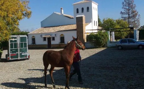 Country House in La Puebla de Cazalla, Andalusia, Spain 1