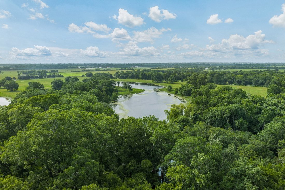 Farm Ranch in Wallis, Texas, United States 4 - 18530056