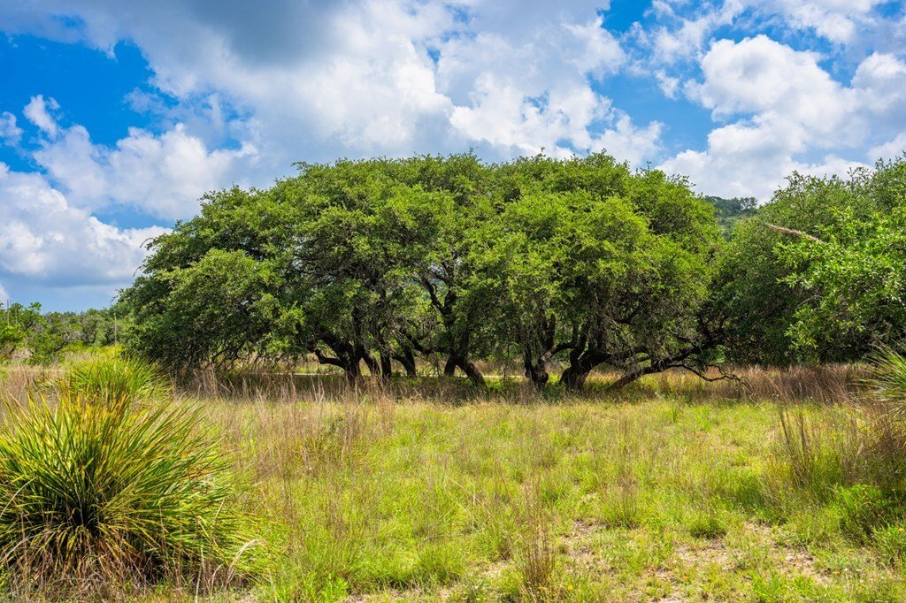 House in Wimberley, Texas, United States 2 - 18528221