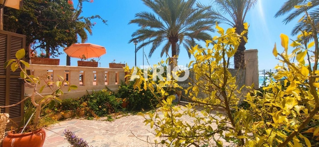 House in Palma, Balearic Islands, Spain 2 - 18527793