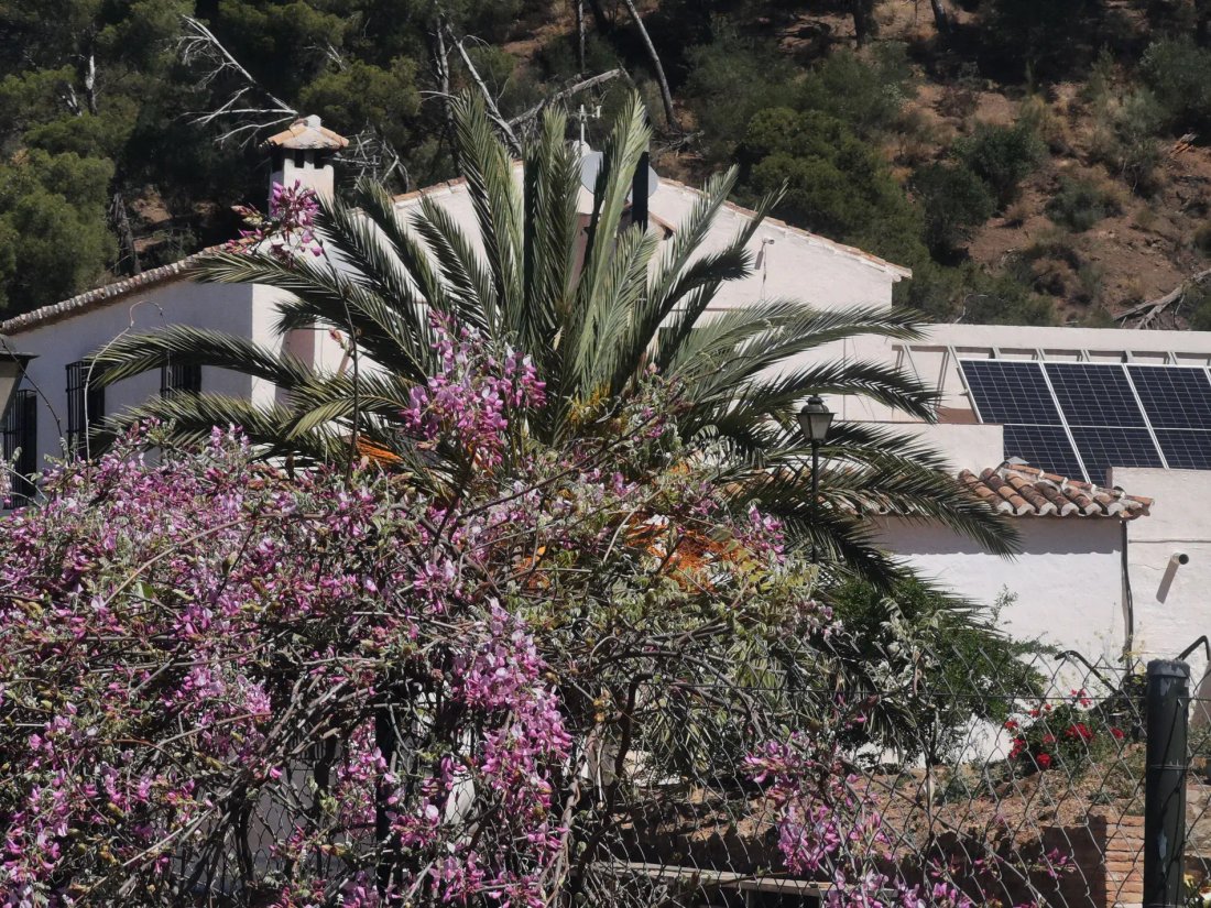 Country House in Colmenar, Andalusia, Spain 1 - 12880889