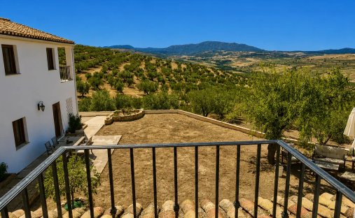Country House in Santa Cruz del Comercio, Andalusia, Spain 1