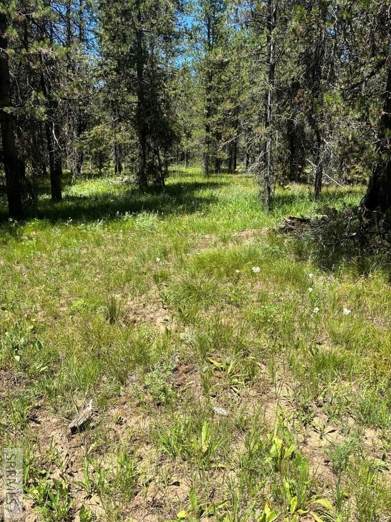 House in Island Park, Idaho, United States 3 - 18416170