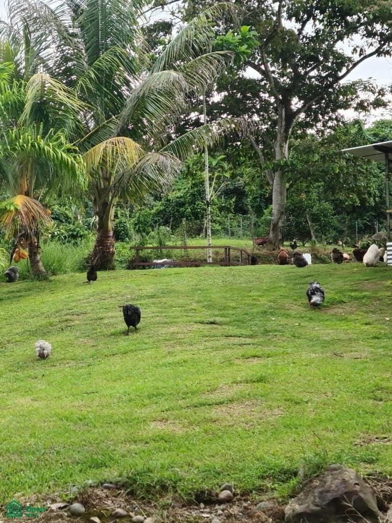 House in Pérez Zeledón, Costa Rica 4 - 17729056