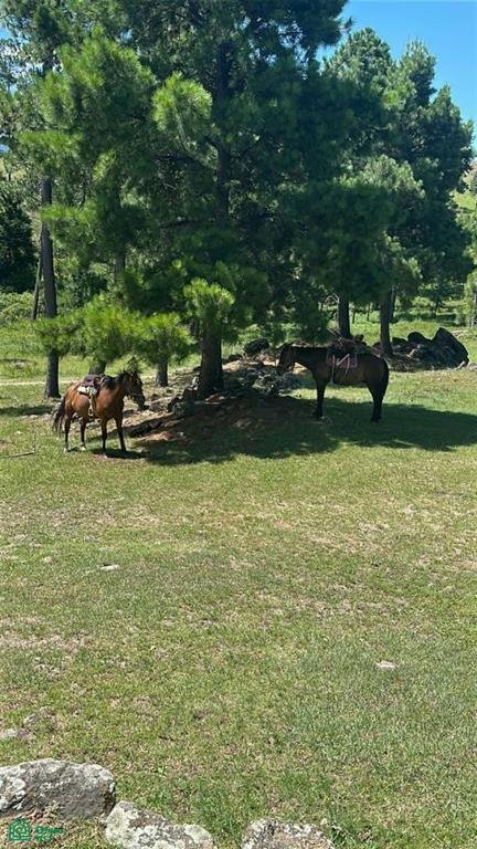 Land in Santa Rosa de Calamuchita, Cordoba, Argentina 1 - 17814041