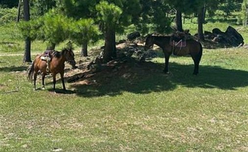 Land in Santa Rosa de Calamuchita, Cordoba, Argentina 1
