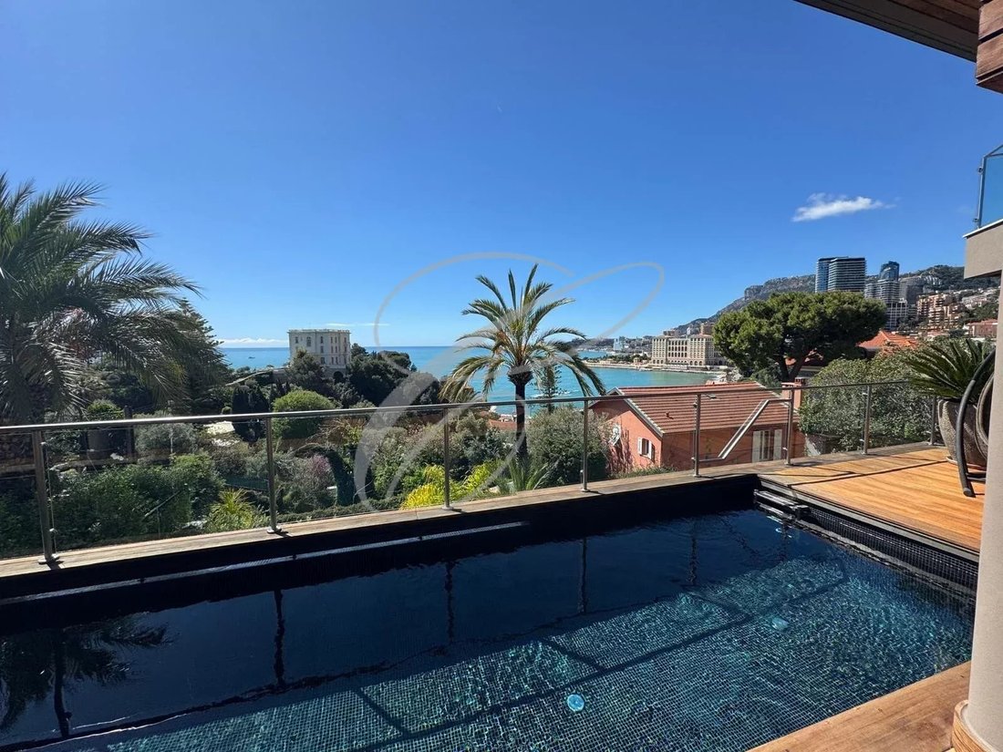 Villa in Cabbe-Saint Roman, Roquebrune-Cap-Martin, France 4 - 14770089
