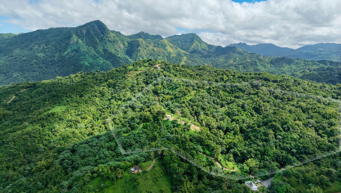 Land in Utuado, Utuado, Puerto Rico 3 - 18527184