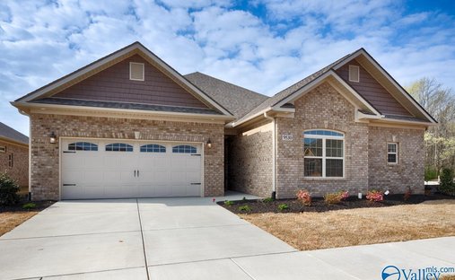 House in Madison, Alabama, United States 1