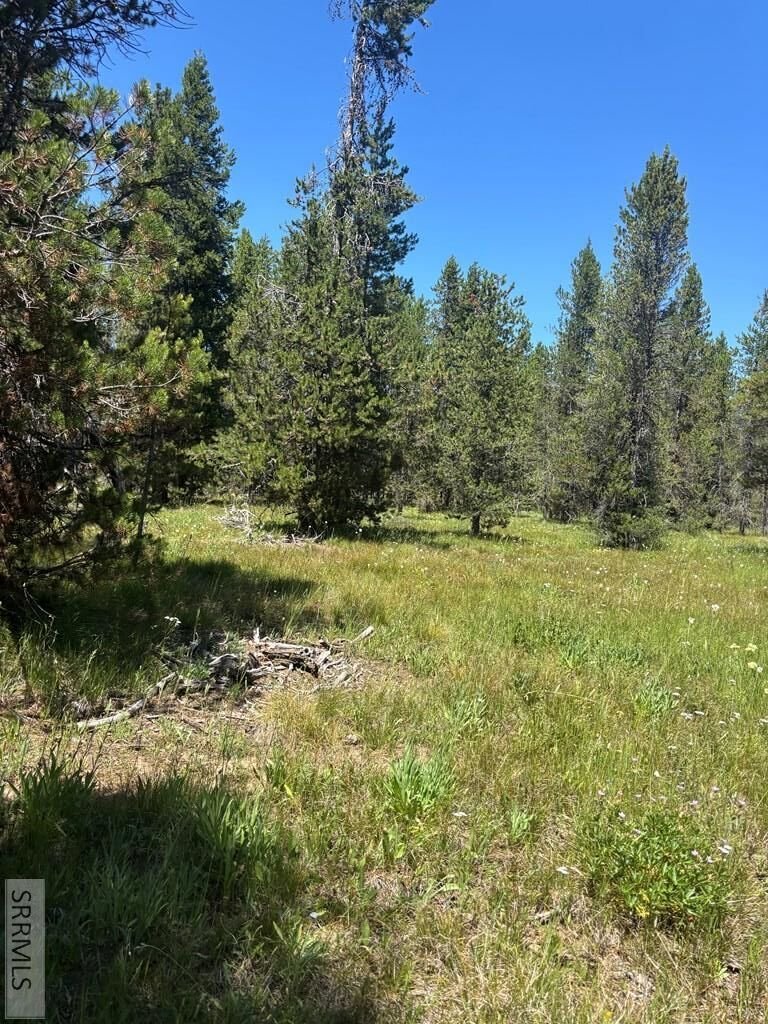 House in Island Park, Idaho, United States 4 - 18416170