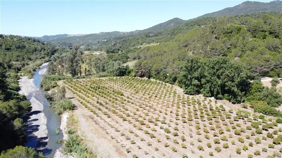 Country House in Gaucin, Andalusia, Spain 4 - 18530327