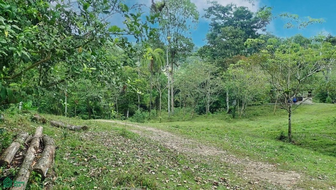 Land in Savegre de Aguirre, Puntarenas Province, Costa Rica 3 - 17811321