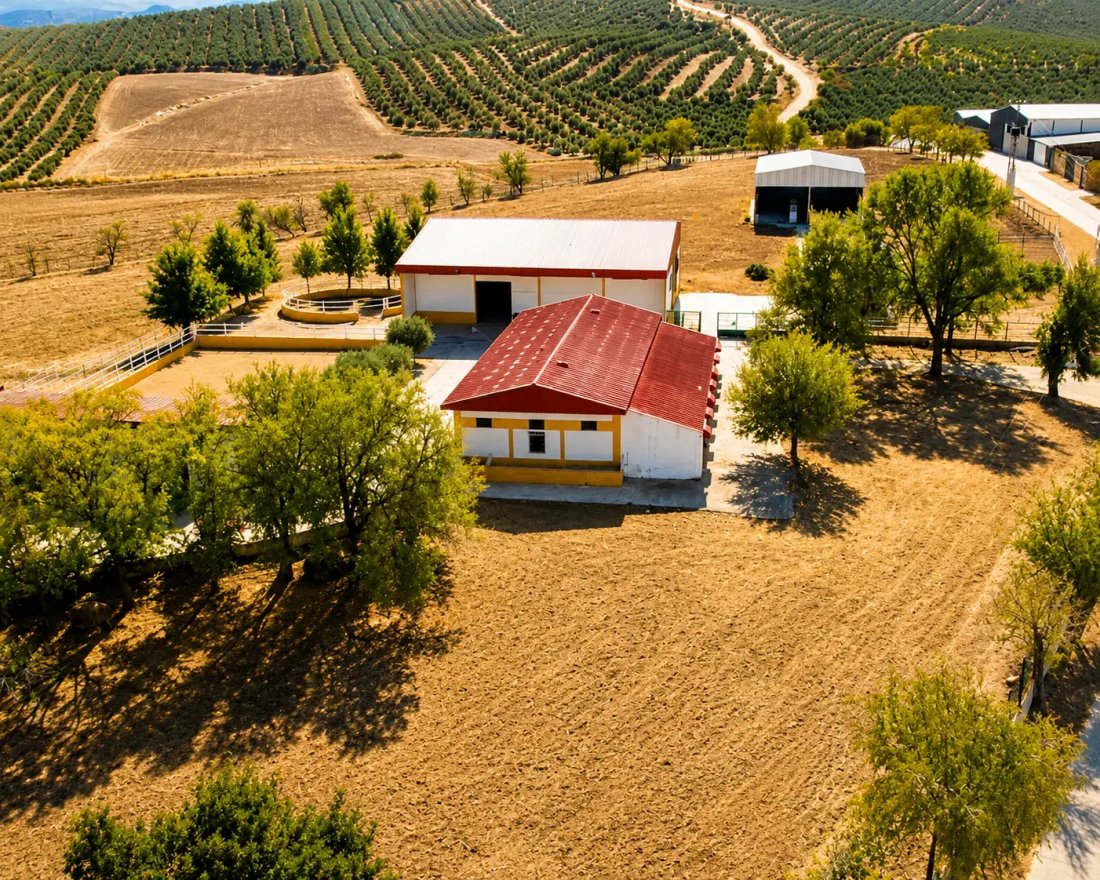 Country House in La Puebla de Cazalla, Andalusia, Spain 4 - 15453776