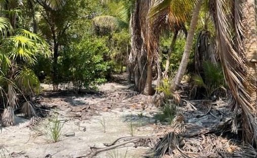 Land in San Pedro, Belize District, Belize 1