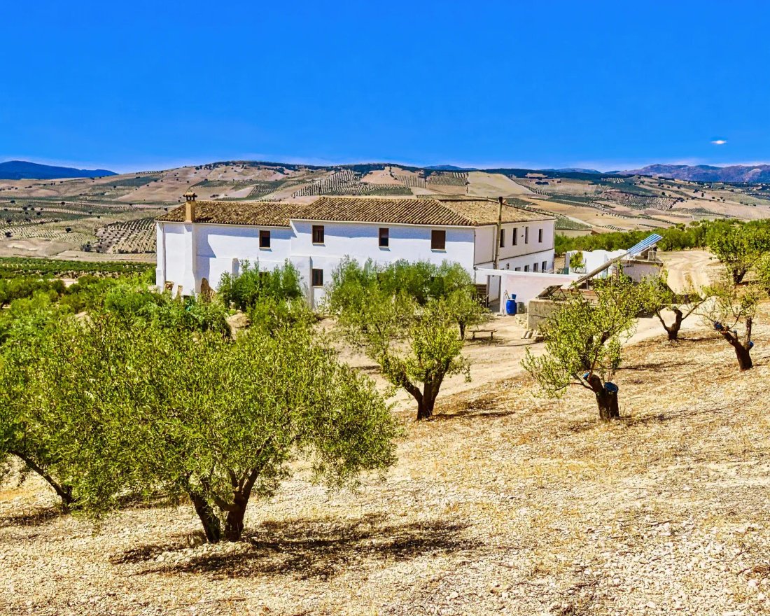 Country House in Santa Cruz del Comercio, Andalusia, Spain 3 - 13360983