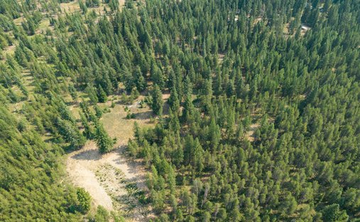 Land in Bonners Ferry, Idaho, United States 1