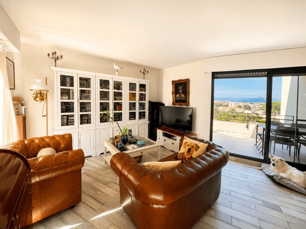 Apartment in Fontmerle, Antibes, France 5 - 18528177