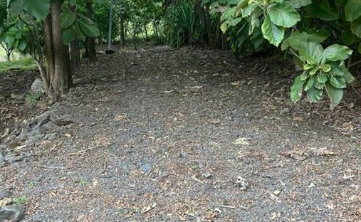 House in Escobal, Guanacaste Province, Costa Rica 1