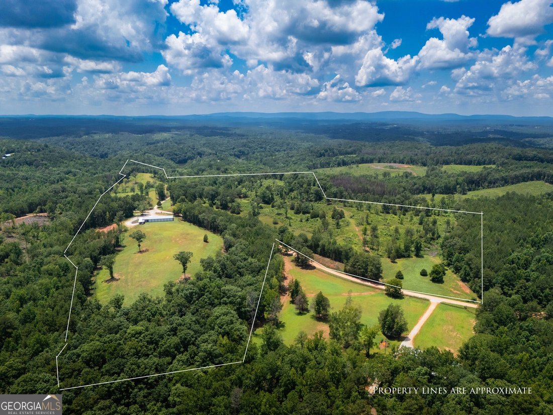 Farm Ranch in Wedowee, Alabama, United States 2 - 18527876