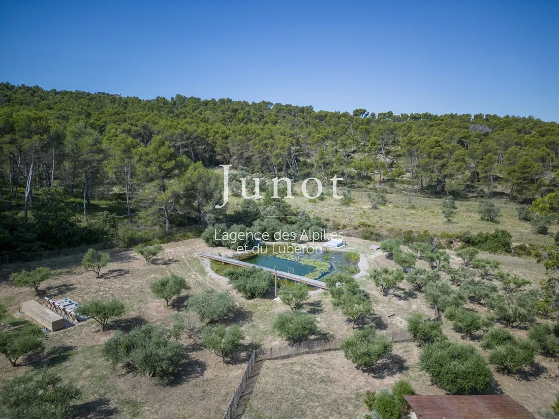 Country House in Saint-Rémy-de-Provence, Provence-Alpes-Côte d'Azur, France 5 - 13687886