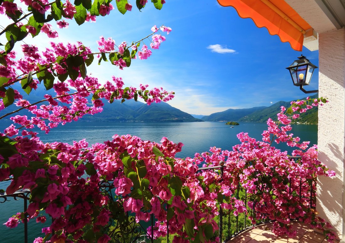 Villa in Ascona, Tessin, Schweiz 2 - 18527558