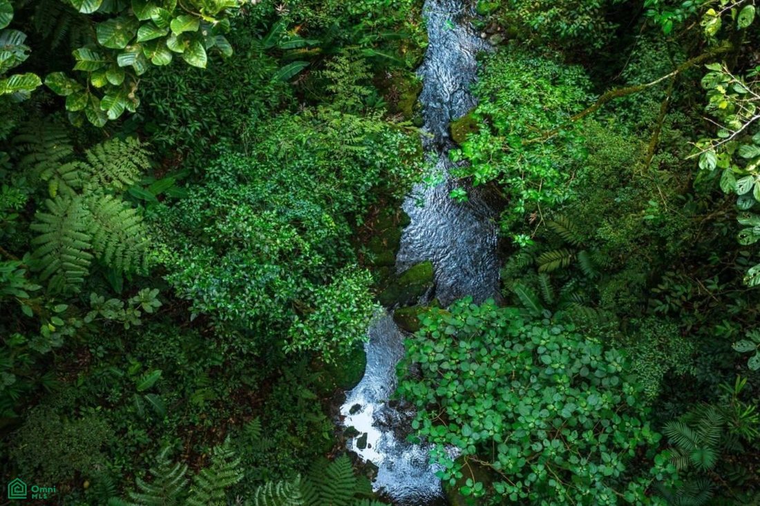 Land in San Ramón, San Ramón, Costa Rica 1 - 18353387