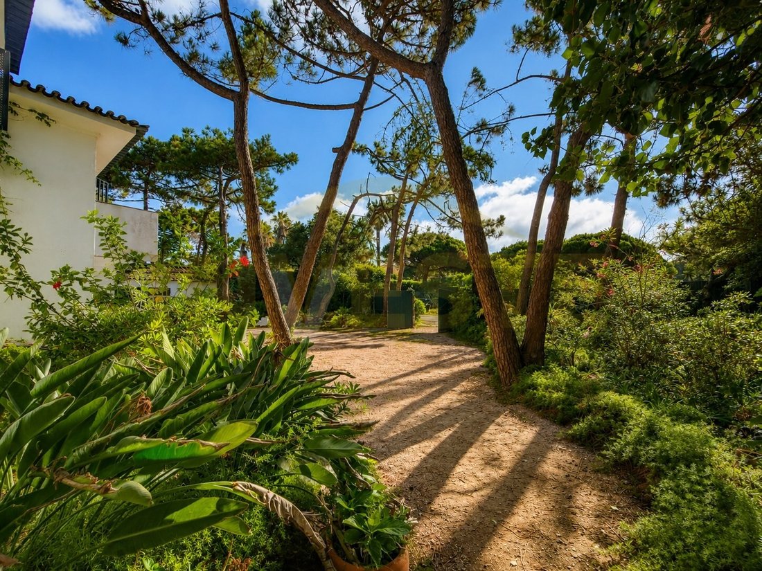 House in Cascais e Estoril, Lisbon, Portugal 4 - 18529386