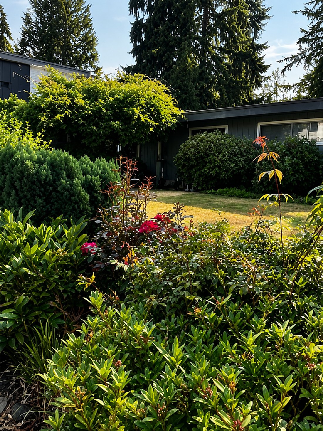 House in Kirkland, Washington, United States 1 - 18527358