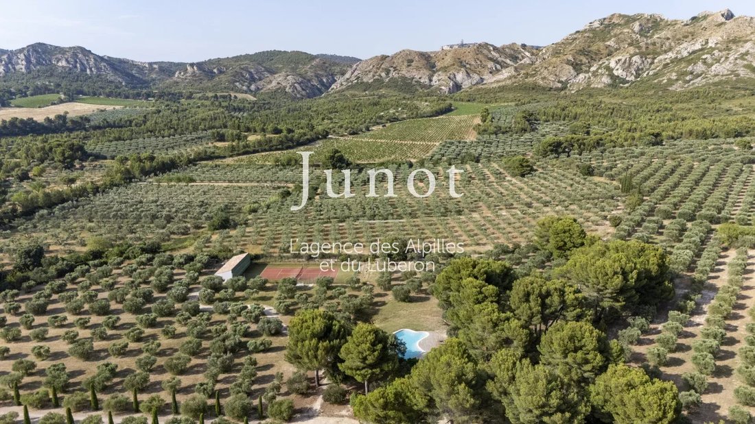 Estate in Maussane-les-Alpilles, Provence-Alpes-Côte d'Azur, France 4 - 18526687