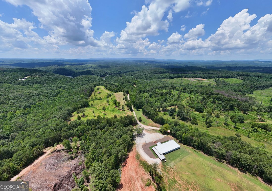 Farm Ranch in Wedowee, Alabama, United States 4 - 18527876