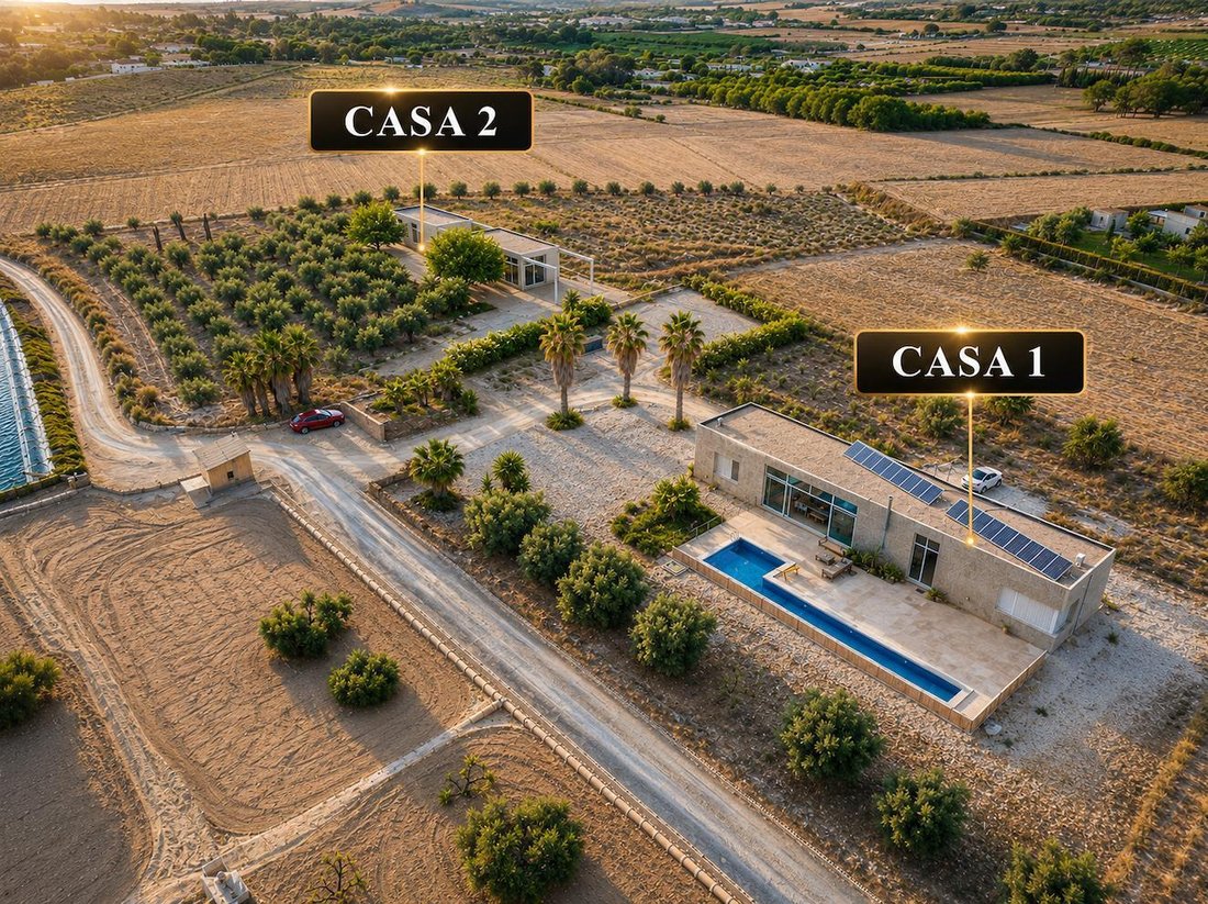 Villa in Elx / Elche, Valencian Community, Spain 3 - 18474581