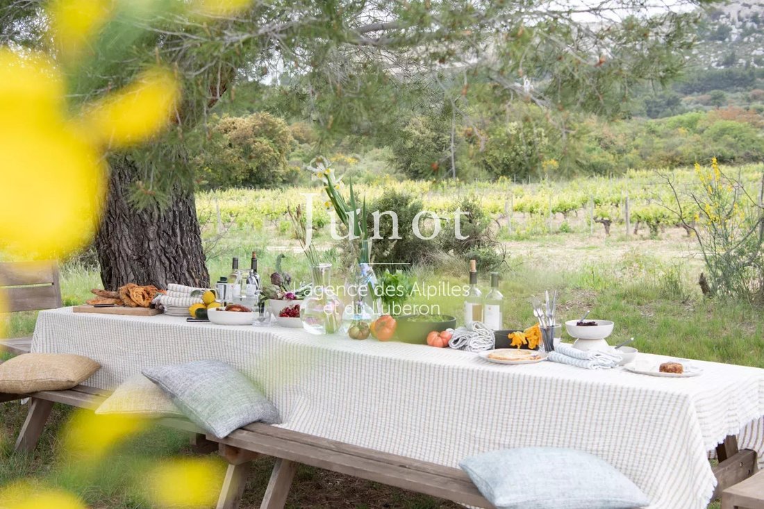 Country House in Arles, Provence-Alpes-Côte d'Azur, France 4 - 13688701