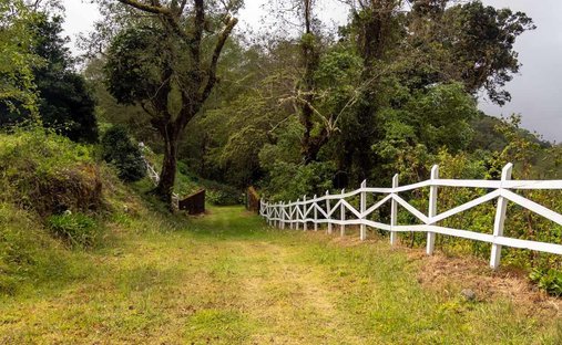 Land in Division, San José Province, Costa Rica 1