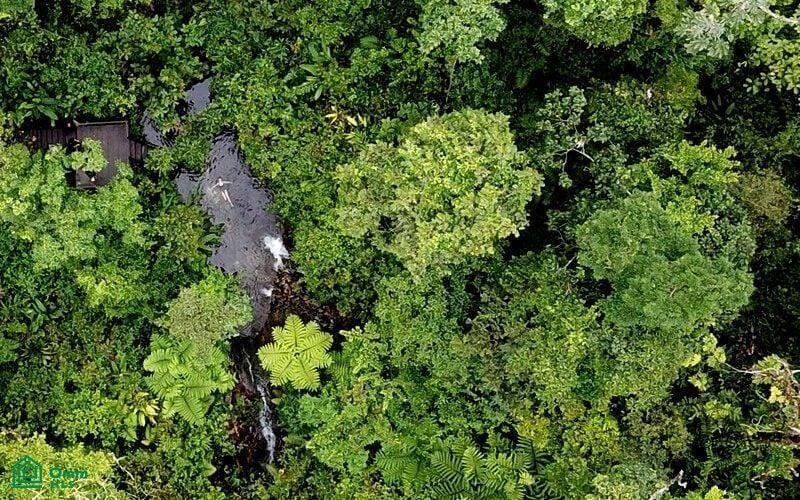 Land in San Ramón, San Ramón, Costa Rica 5 - 18353387