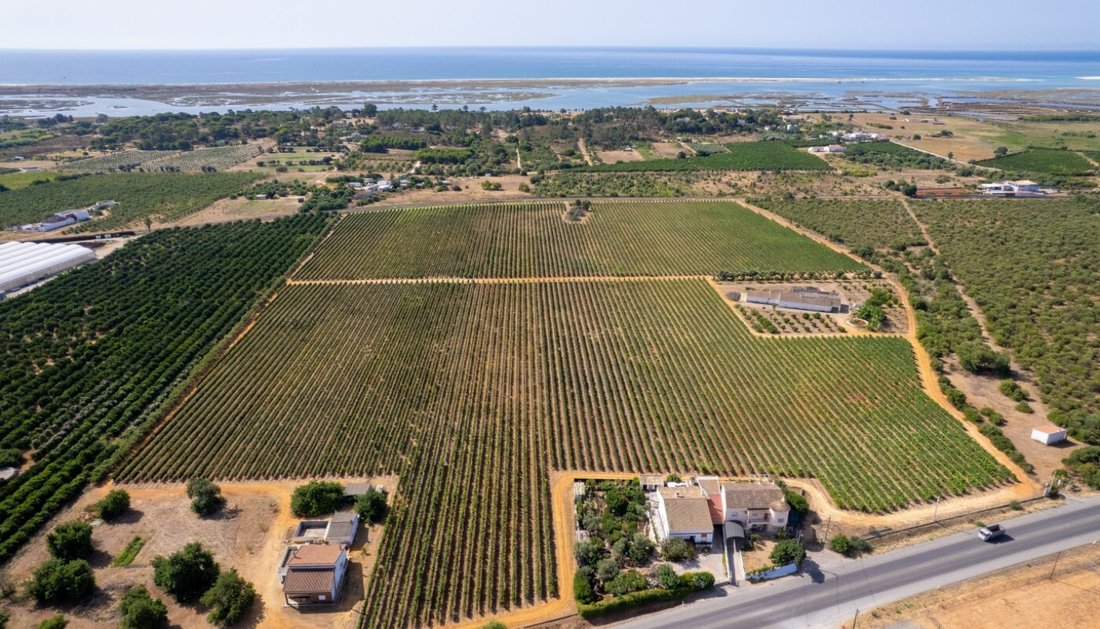 Rancho en Luz de Tavira e Santo Estevao, Algarve, Portugal 5 - 18526875