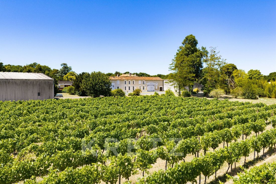 Farm Ranch in Cognac, Nouvelle-Aquitaine, France 1 - 17725611