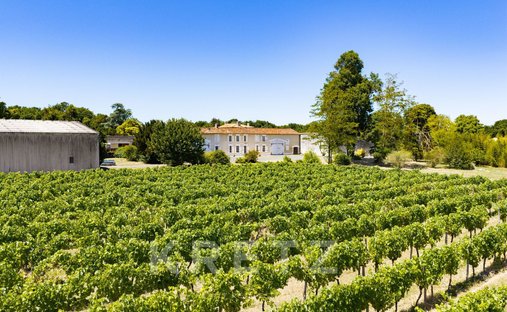 Farm Ranch in Cognac, Nouvelle-Aquitaine, France 1