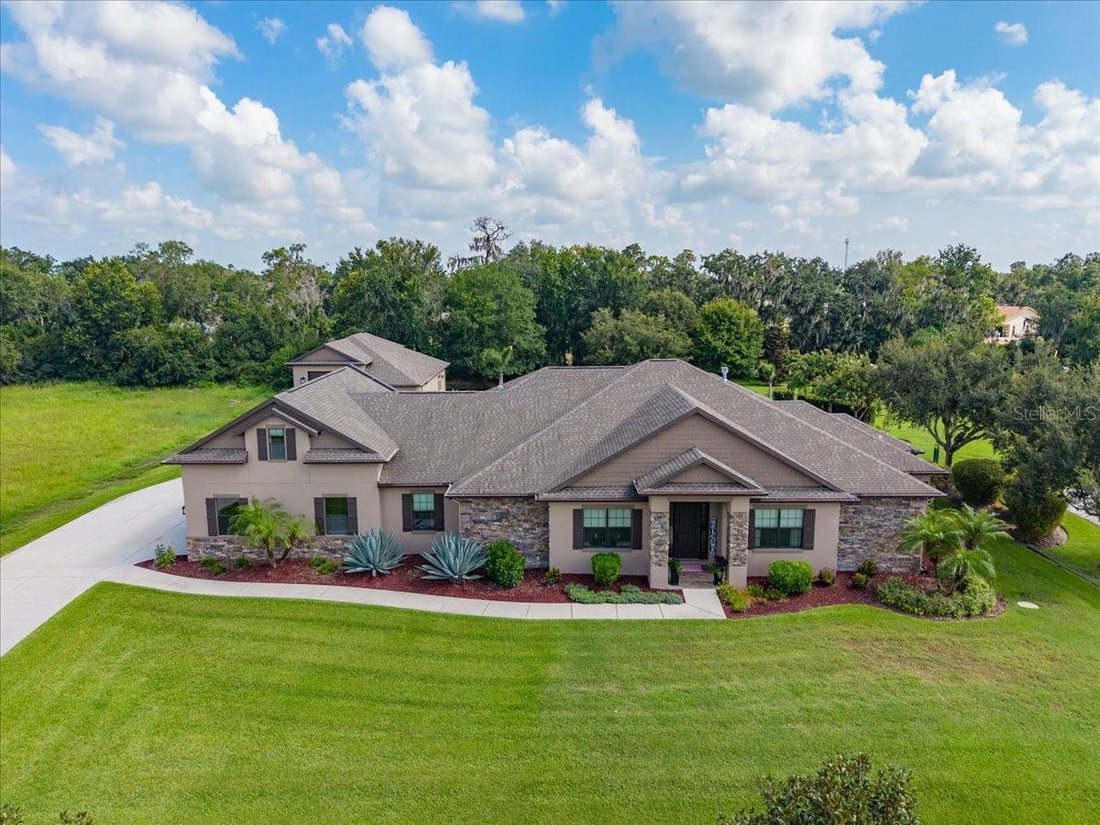 House in Lithia, Florida, United States 1 - 18527893