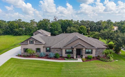 House in Lithia, Florida, United States 1