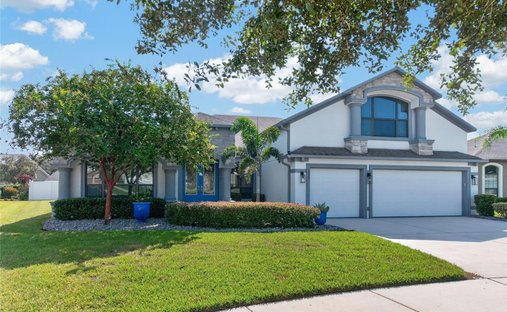 Maison à Douvres, Floride, États-Unis 1